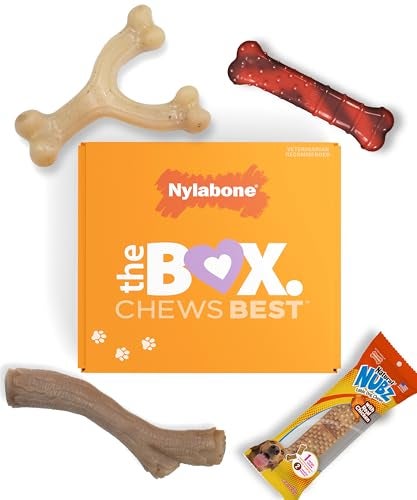 Nylabone Dog Gift Box Includes 3 Strong Chew Toys and 1 Natural Treat Gifts for Dogs Small Up to 25 lbs 4 Pack - Image 1
