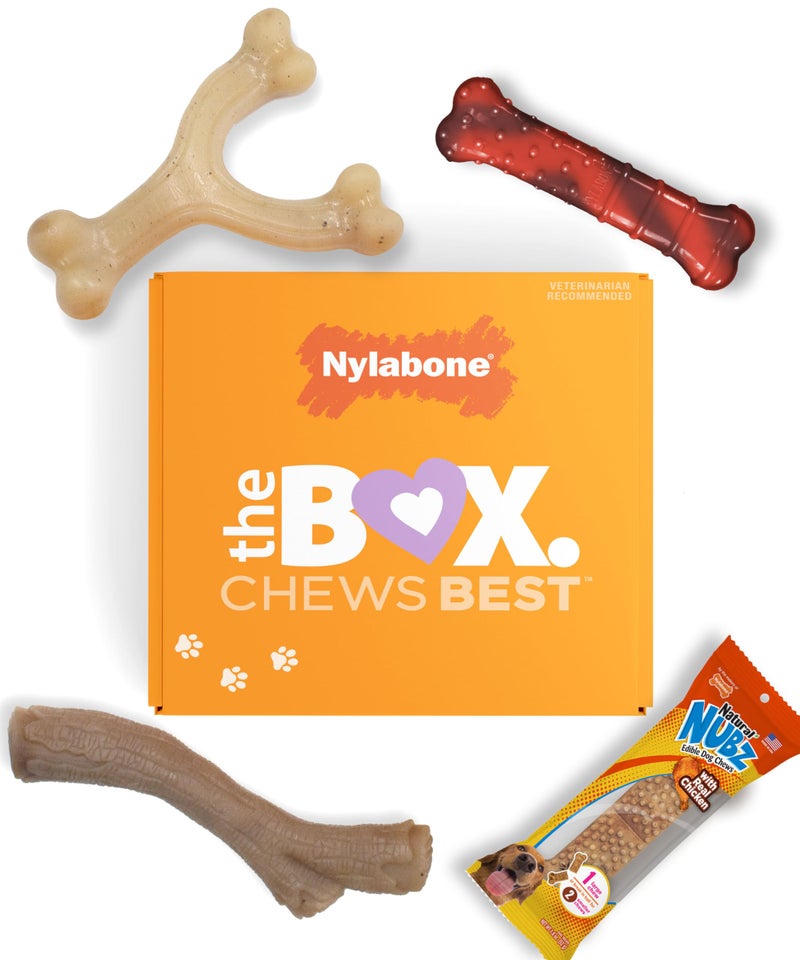 Nylabone Dog Gift Box Includes 3 Strong Chew Toys and 1 Natural Treat Gifts for Dogs Small Up to 25 lbs 4 Pack - Image 2