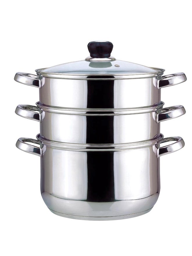 Wilson بخار ويليسون من الفولاذ المقاوم للصدأ 3 طبقات مع غطاء زجاجي 26 سم