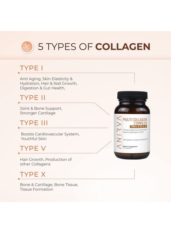 ANIRVA Multi Collagen Complex Type I Ii Iii V X Collagen Supplement For Antiaging Healthy Joints Hair Skin And Nails - Image 5