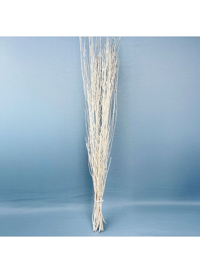 DANUBE HOME Danube Home Fleur Yanagi Sticks Bleach - 60Cm Multi Color Preserved Flower Decorations Timeless Home Decor Collection Long-Lasting Dried Flowers Bouquet Decorative Home Accessories 