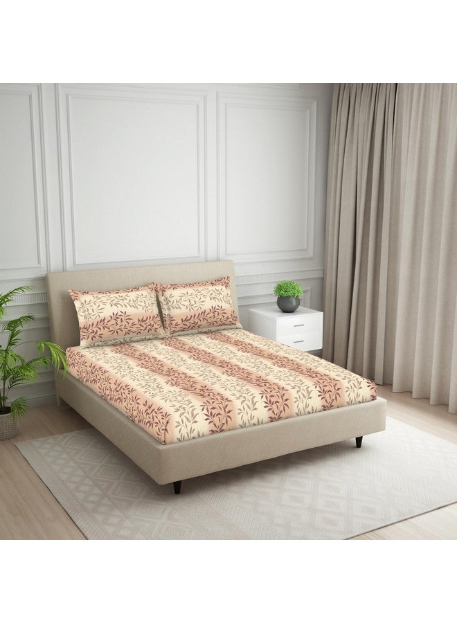 Welspun 120 TC Polycotton Bedsheet for Double Bed with 2 Pillow Cover | Skin Safe & Super Soft King Size Bed Sheet | (108 X 108 Inch) - Ornate Brown | Harmony - Image 2