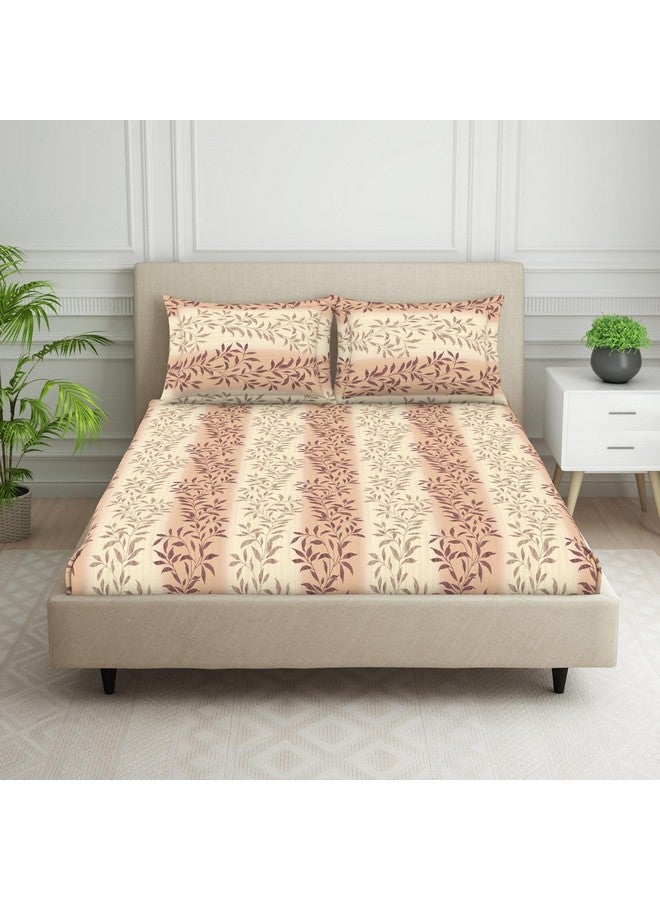 Welspun 120 TC Polycotton Bedsheet for Double Bed with 2 Pillow Cover | Skin Safe & Super Soft King Size Bed Sheet | (108 X 108 Inch) - Ornate Brown | Harmony - Image 1