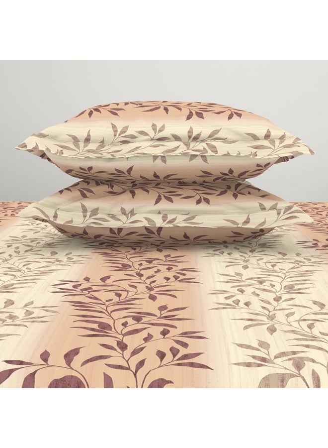 Welspun 120 TC Polycotton Bedsheet for Double Bed with 2 Pillow Cover | Skin Safe & Super Soft King Size Bed Sheet | (108 X 108 Inch) - Ornate Brown | Harmony - Image 5