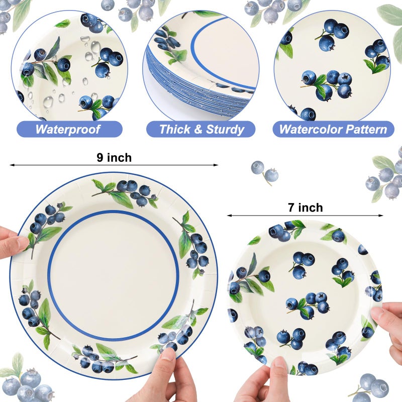 Funnymoom 48 Pcs Blueberry Paper Plates Set Include 9 Inch and 7 Inch Spring Watercolor Disposable Plates Summer Decorative Dinner Birthday Party Tableware for Baby Shower Party Supplies - Image 1