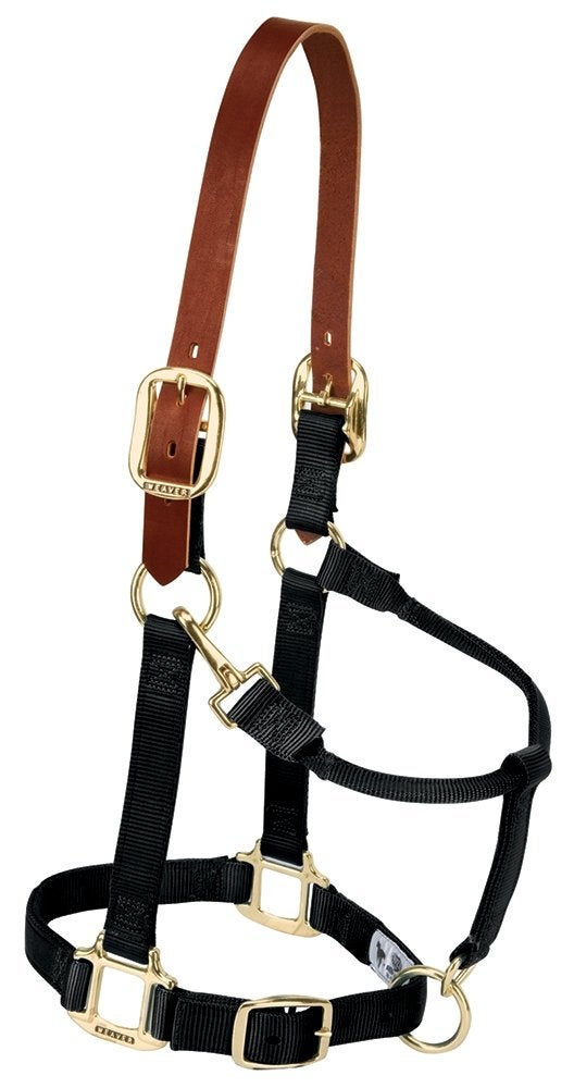 Weaver Equine Breakaway Horse Halter, Supple Leather Crown, Adjustable Chin & Throat Snap Halters for Horses, Equine Tack,Pony Size, Black - Image 4