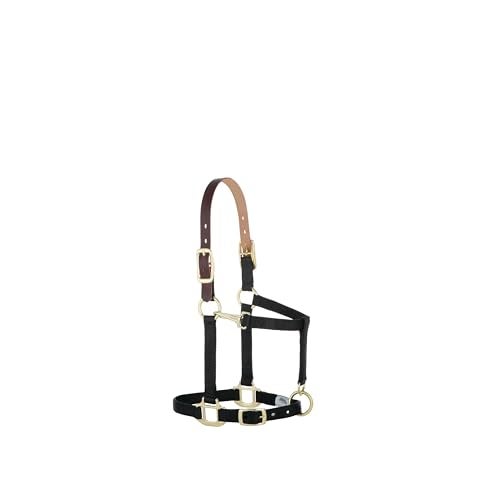 Weaver Equine Breakaway Horse Halter, Supple Leather Crown, Adjustable Chin & Throat Snap Halters for Horses, Equine Tack,Pony Size, Black - Image 1