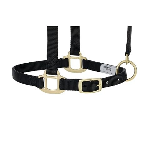 Weaver Equine Breakaway Horse Halter, Supple Leather Crown, Adjustable Chin & Throat Snap Halters for Horses, Equine Tack,Pony Size, Black - Image 2