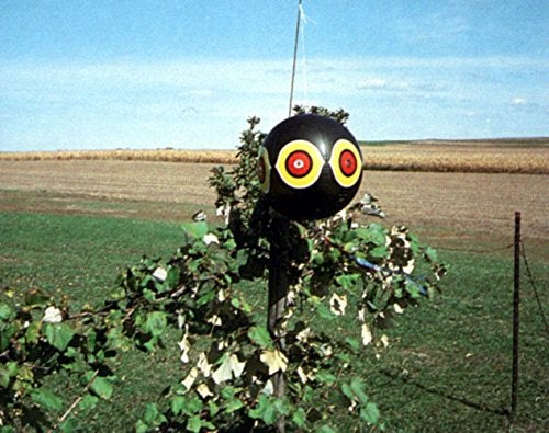 Bird-X Scare-Eye Balloon, Predator 3D Eye Balloons with Glaring Eyes and Bright Colors, Covers up to 6,000 sq. ft. Area, Pack of 1 Black Balloon - Image 2