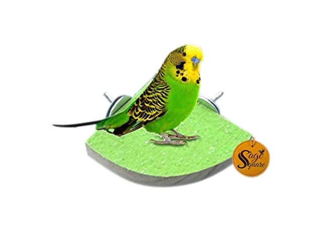 Sage Square منصة لعبة من خشب طبيعي مع رمل للطيور في القفص مثل الببغاء، البادجي، الكوكاتيل، طائر الحب، البادجيريجار، السون كونور، الفينش، الغين grey، الكناري، الكوكاتو، والماكوا (9 بوصات) - Image 1