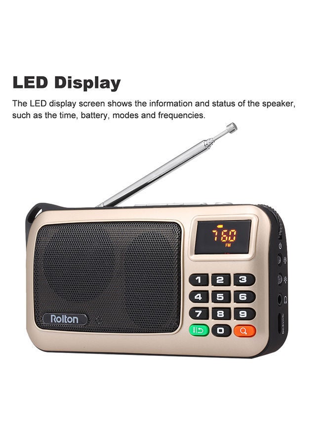 NIBEMINENT USB Portable Digital Radio V476 Gold  - Image 5