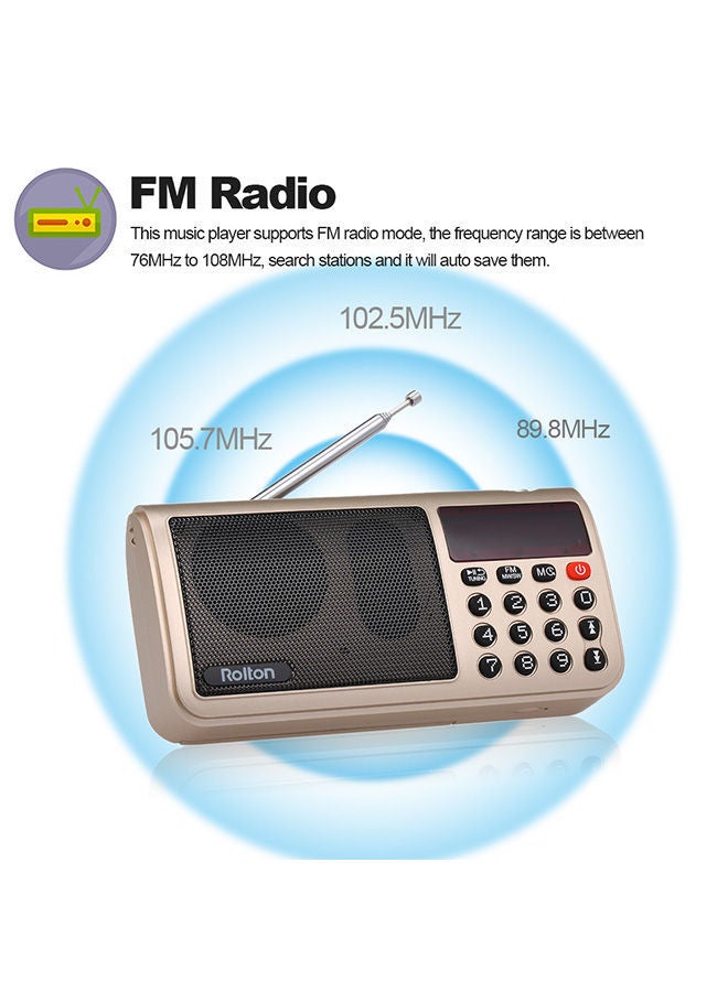 NIBEMINENT USB Portable Digital Radio V476 Gold  - Image 2