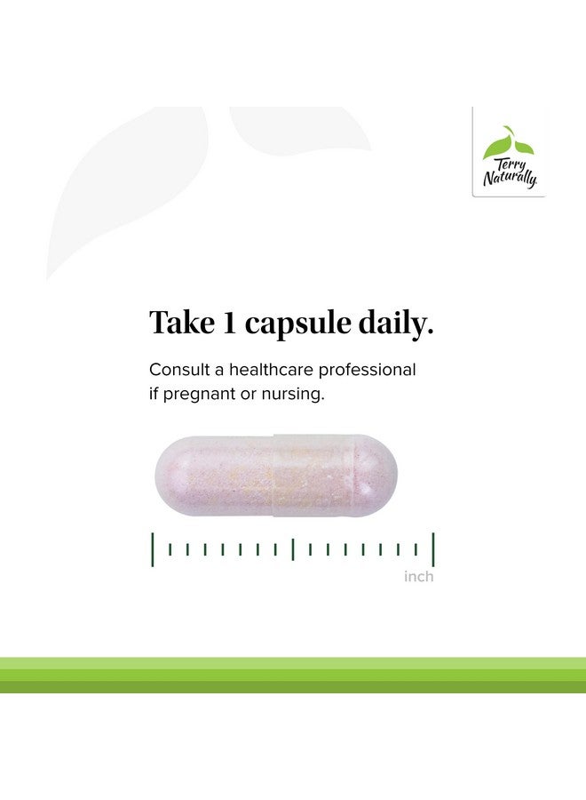 Terry Naturally BioActive Vitamin B - Aid Heart Health with Bioactive B Vitamins - Supplement with Folate & Calcium - B Complex Vitamin to Aid Nervous System Function - 60 Capsules (Pack of 2) - Image 4