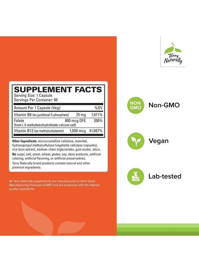 Terry Naturally BioActive Vitamin B - Aid Heart Health with Bioactive B Vitamins - Supplement with Folate & Calcium - B Complex Vitamin to Aid Nervous System Function - 60 Capsules (Pack of 2) - Image 2