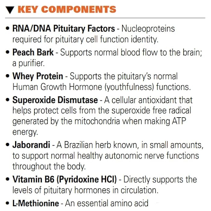Systemic Formulas #32 Bio Function Gb Pituitary/Pineal 60 Capsules. Supports Mental Clarity and Focus and Normal circadian Rhythms. - Image 3