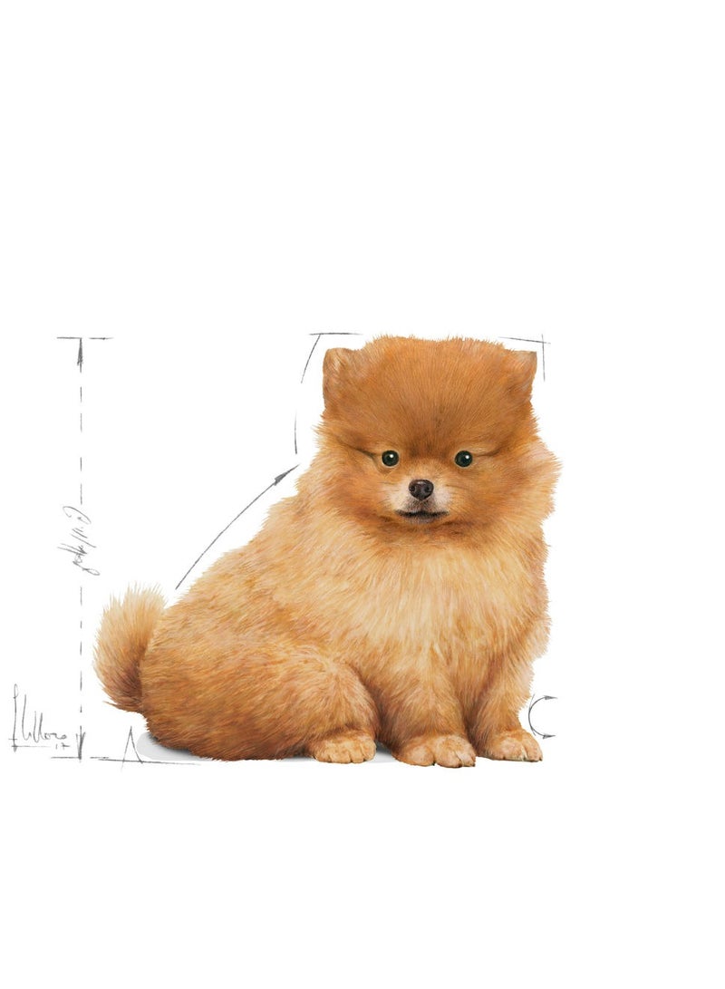 Royal Canin Mini Indoor Puppy 1.5kg - Image 2