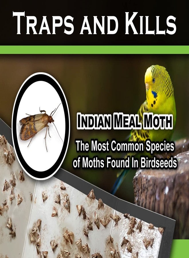 MaxGuard Birdseed Pantry Moth Traps (10 XL Pack) Extra Strength Pheromones | Non-Toxic Extra Large Sticky Glue Trap for Bird Seed Storage Areas | Attract, Trap and Kill Moths - Image 3