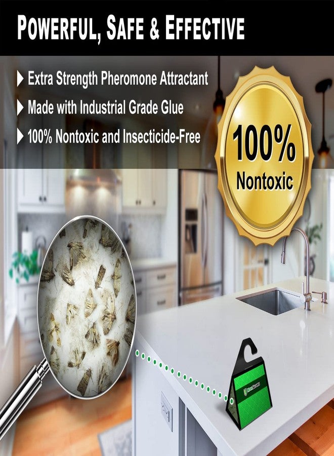 MaxGuard Birdseed Pantry Moth Traps (10 XL Pack) Extra Strength Pheromones | Non-Toxic Extra Large Sticky Glue Trap for Bird Seed Storage Areas | Attract, Trap and Kill Moths - Image 4