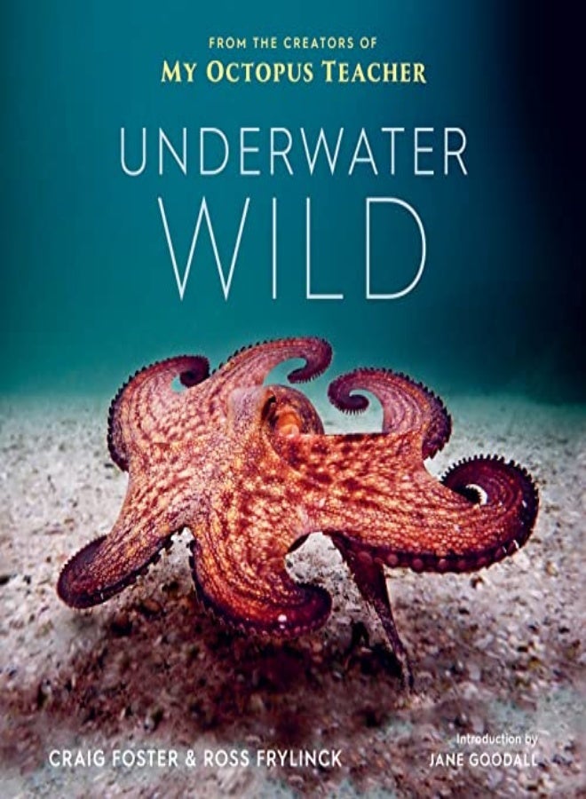 UNDERWATER WILD 