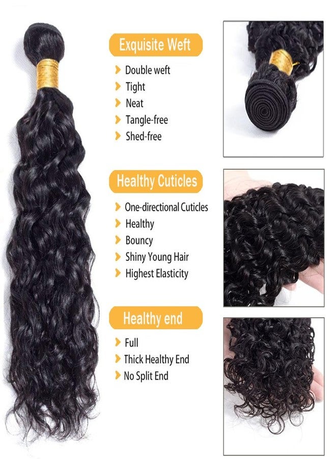 Miss Lee Water Wave Human Hair Bundles Brazilian Remy Water Wave 10A Curly Human Hair Bundles Unprocessed Human Hair Extension Double Weft Natural Color for Black Women 20inch - Image 2