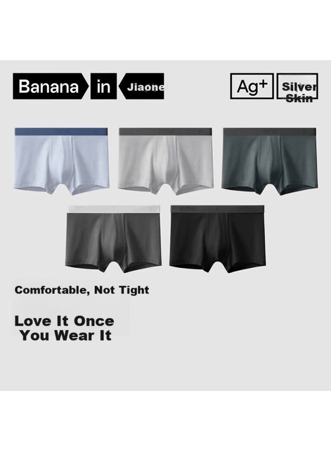 Bananain Jiao Nei Silver Skin 301p Men's Modal Breathable Ice Silk Antibacterial Boxer Briefs 5-pack Gift Box For Boyfriend - Image 1