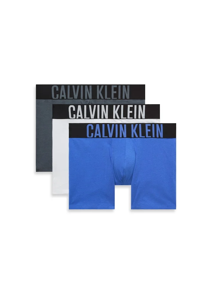 CALVIN KLEIN 3 Pack Boxer Briefs - Intense Power Cotton