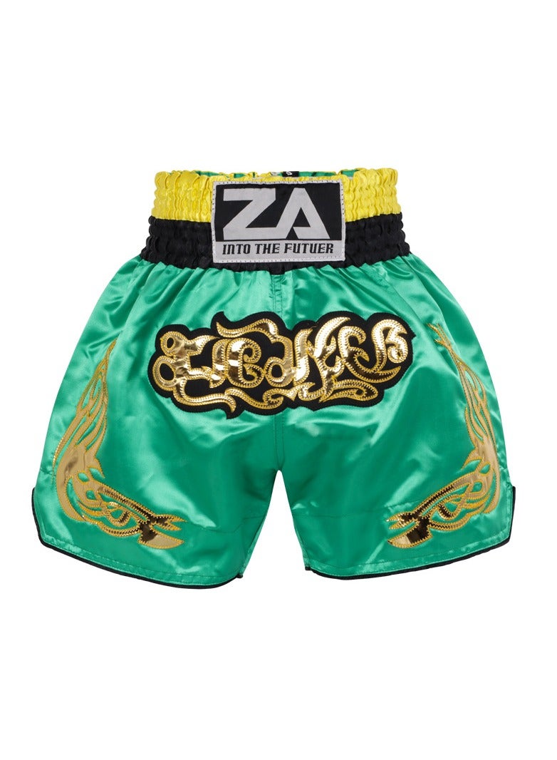 Generic Muay Thai Classic Shorts - Image 1