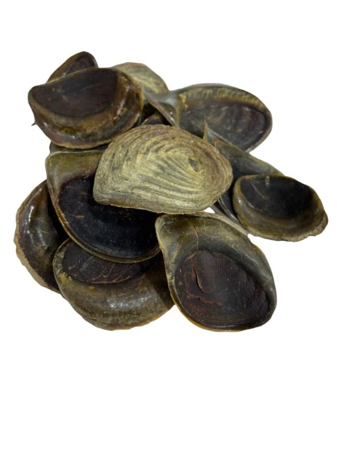 ظفر حافور 250 جرام