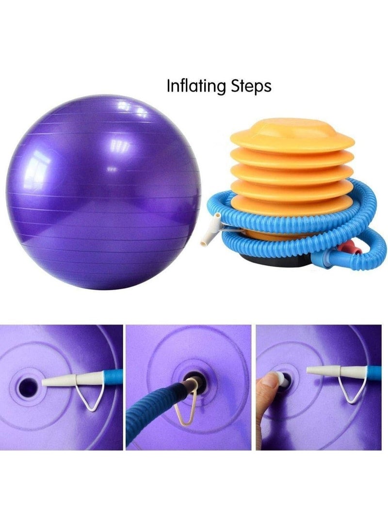 PRIMO PLUS 65cm Yoga and Fitness Balance Ball with Air Pump - Image 1