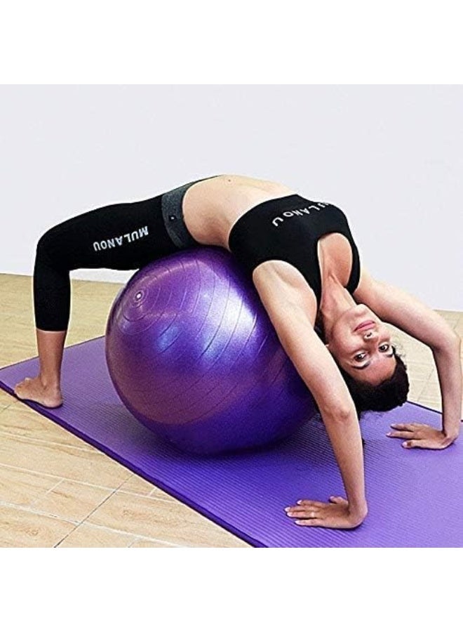 PRIMO PLUS 65cm Yoga and Fitness Balance Ball with Air Pump - Image 3