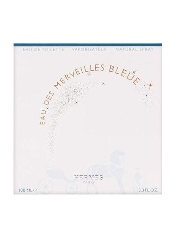 HERMES Eau Des Merveilles Bleue EDT 100ml - Image 3