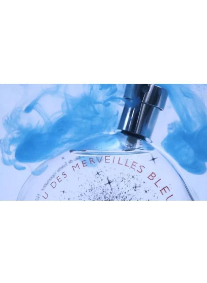 HERMES Eau Des Merveilles Bleue EDT 100ml - Image 5