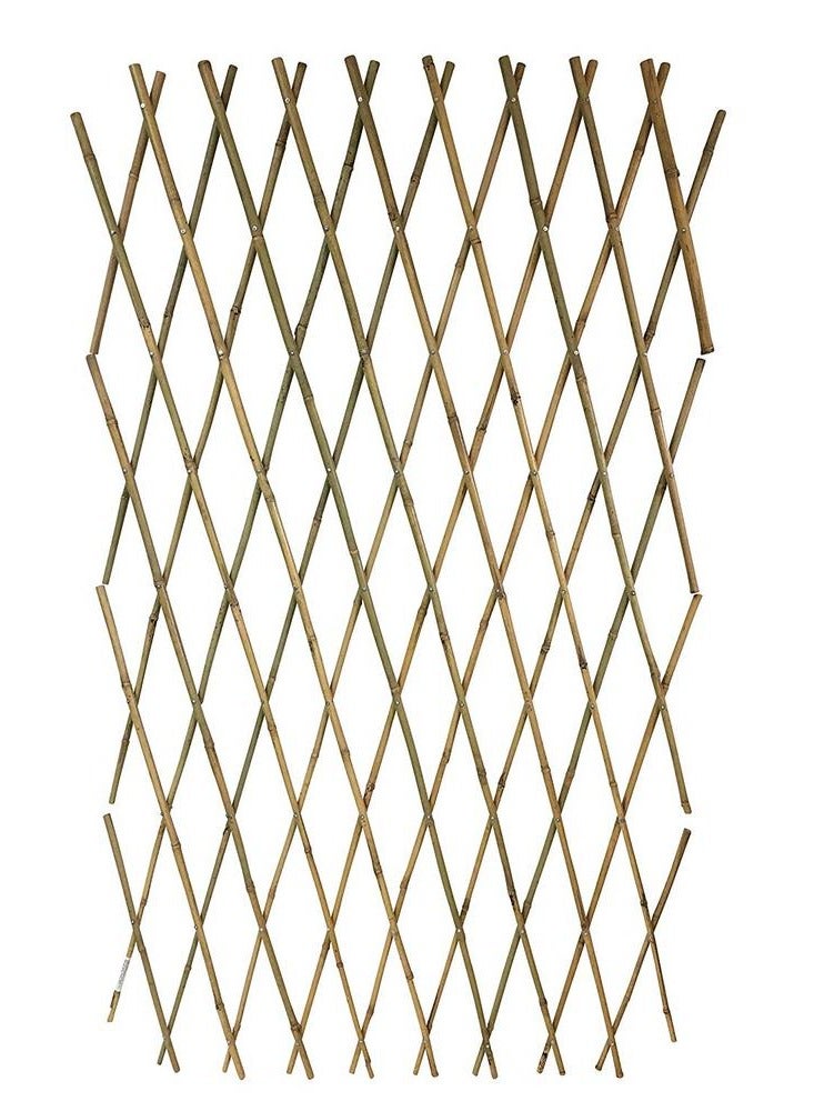 Egardenkart Egardenkart® Trellis Bamboo Trellis Plant Climbers 215cm  - Image 2