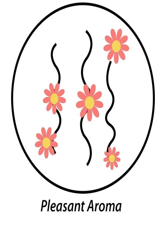 Pitambari Shining Powder - 200g (Pack of 3) - Image 4