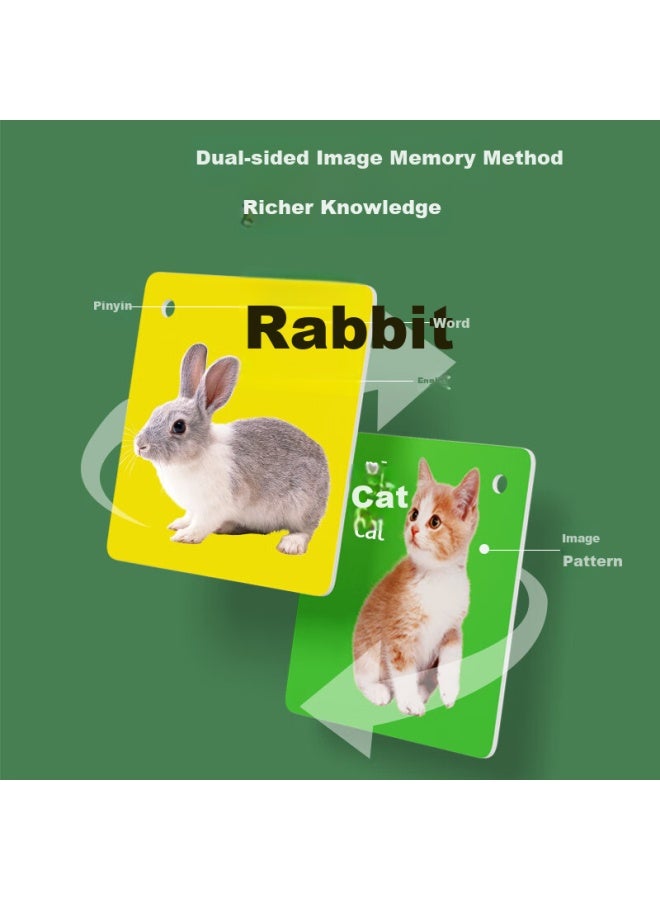YSR Yisirui Early Education Book Colorful Cards, Infant Cognitive Cards, 0-1 Years Old, Animal Recognition, Number Recognition, Picture Recognition, Baby Toys - Image 3