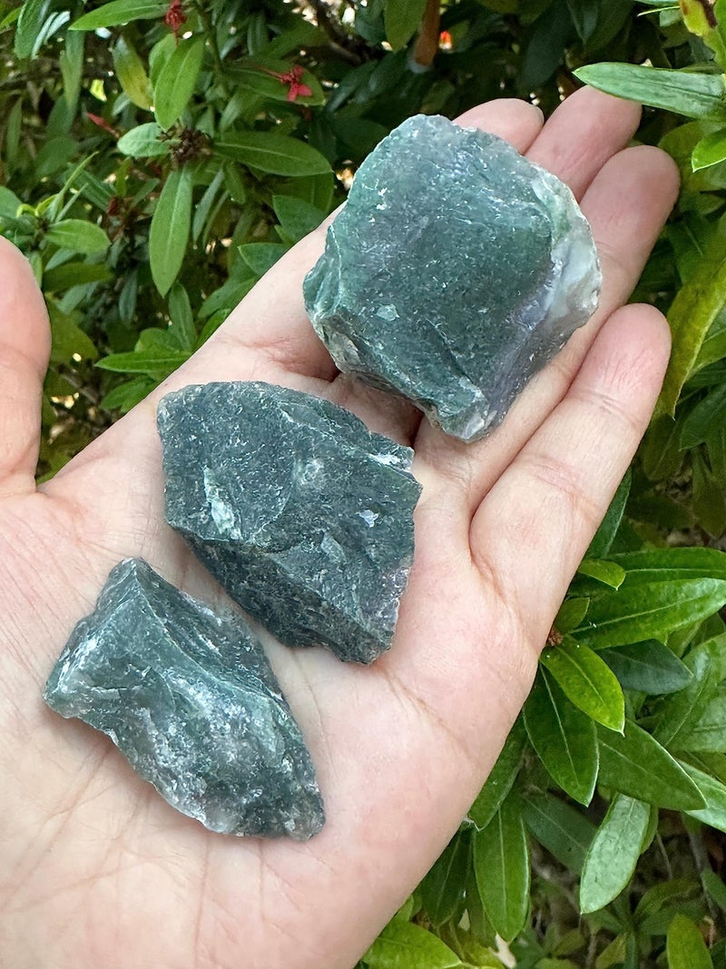 3 Pcs Raw Tree Agate Crystals Natural Tree Agate Stone Natural Rough Tree Agate Crystals Tree Agate Rough Tree Agate Healing Crystals Tree Agate