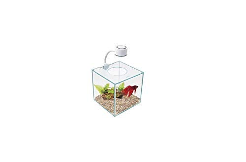 Marina CUBUS Glass Betta Kit – Elegant Glass Aquarium for Homes or Offices - Image 5