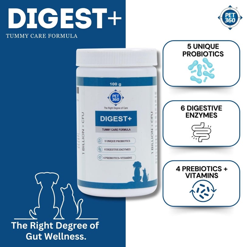 PET360 Digest+ Tummy Care Formula | Gut Health Supplement for Dogs & Cats | Probiotics, Prebiotics, Digestive Enzymes & Vitamins for Improved Digestion & Immunity | Suitable for All Breeds - 100 gm - Image 5