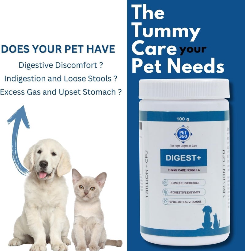 PET360 Digest+ Tummy Care Formula | Gut Health Supplement for Dogs & Cats | Probiotics, Prebiotics, Digestive Enzymes & Vitamins for Improved Digestion & Immunity | Suitable for All Breeds - 100 gm - Image 2