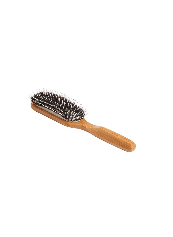 Professional Brush 1 Ea - pzsku/ZA41FEB588A305EC81065Z/45/_/1696663276/07b3ea89-2b66-40d0-8289-b0a34a00b656