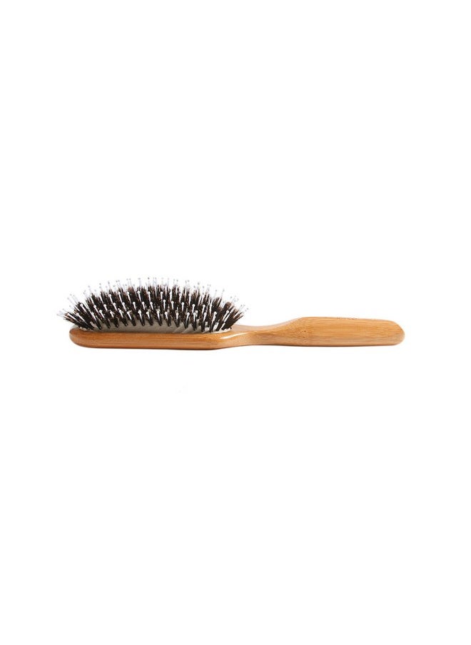 Professional Brush 1 Ea - pzsku/ZA41FEB588A305EC81065Z/45/_/1696663285/682e9f25-25f5-494d-966a-7bfce272a9c7