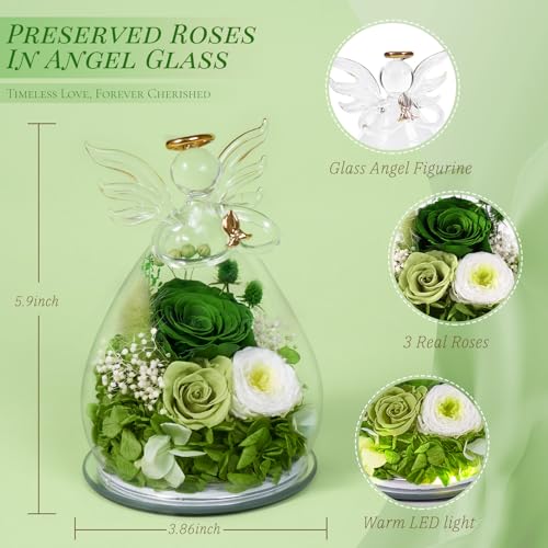 Bessol Birthday Valentines Day Gifts for Her Women Mom Preserved Roses in Glass Angel Figurines Fresh Flowers for Delivery Forever Flowers Eternal Rose for Grandma Sister Wife Daughter - Image 2
