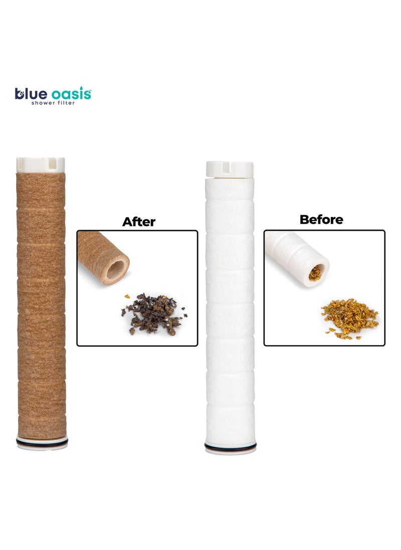 Blue Oasis Blue Oasis Ionic Shower Head & Handheld Shower Filter | Cylindrical Silver Single & 4 Dual Filter Cartridge | Water Filter Shower for Healthier Skin & Hair | TUV Tested | High Pressure Shower filter for Bathroom  - Image 4