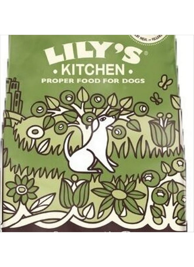 Lily's Kitchen Dog Food Grain Free Lamb 1Kg - pzsku/ZA421524AAC607F4FB4F8Z/45/_/1737032033/8e8af913-bfec-432d-82b3-ff60f5ec1d6a