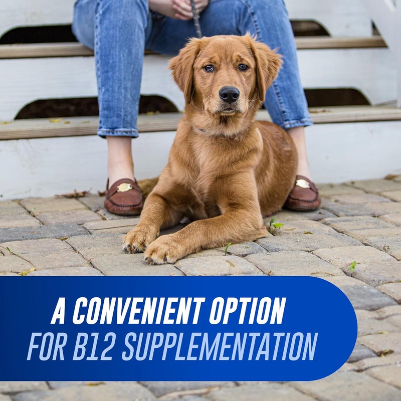 Nutramax Laboratories Cobalequin B12 Supplement Chewable Tablets for Dogs - 45CT - Image 3
