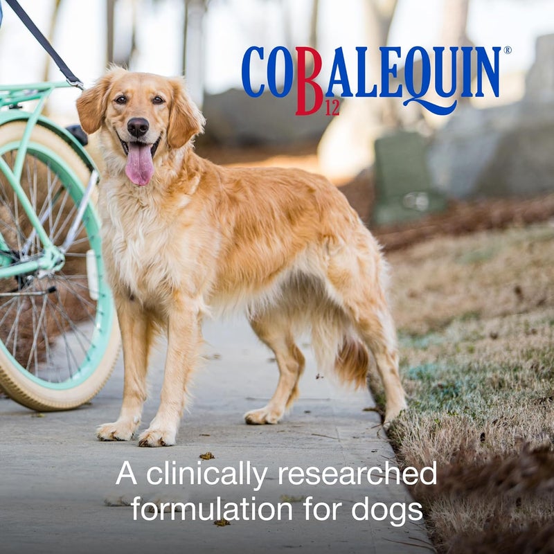 Nutramax Laboratories Cobalequin B12 Supplement Chewable Tablets for Dogs - 45CT - Image 2