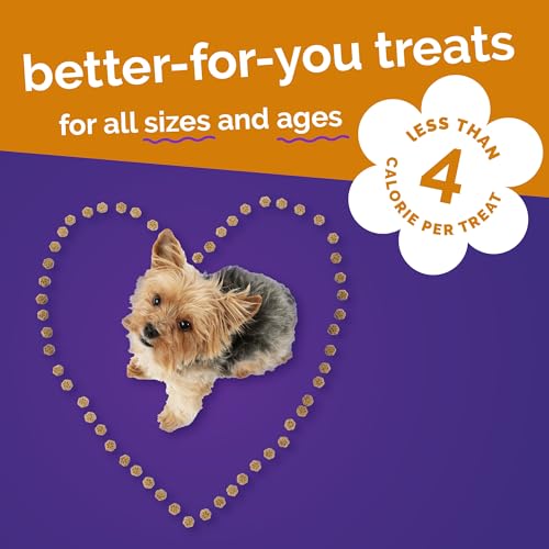 Fruitables Skinny Minis Dog Treats, Healthy Pumpkin Treat for Dogs, Low Calorie & Delicious, Puppy Training, No Wheat, Corn or Soy, Made in the USA, Rotisserie Chicken Flavor, 5oz - Image 5