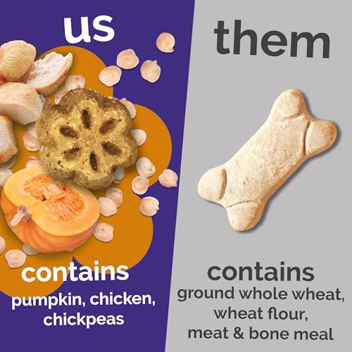 Fruitables Skinny Minis Dog Treats, Healthy Pumpkin Treat for Dogs, Low Calorie & Delicious, Puppy Training, No Wheat, Corn or Soy, Made in the USA, Rotisserie Chicken Flavor, 5oz - Image 3