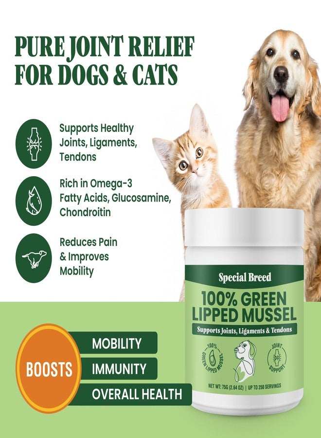 Special Breed Green Lipped Mussel Powder for Dogs & Cats - 100% New Zealand Green Lipped Mussels - Natural Hip & Joint Supplement for Joints, Tendons, Ligaments, Muscles - 75 Grams - Up to 250 Servings - Image 2