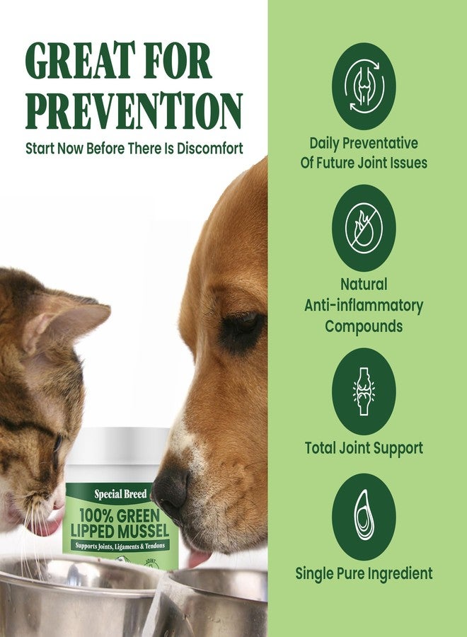 Special Breed Green Lipped Mussel Powder for Dogs & Cats - 100% New Zealand Green Lipped Mussels - Natural Hip & Joint Supplement for Joints, Tendons, Ligaments, Muscles - 75 Grams - Up to 250 Servings - Image 3